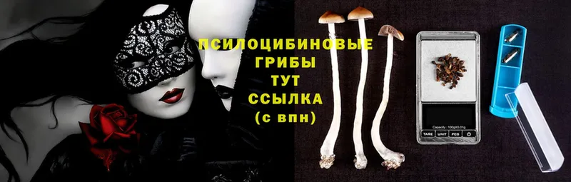 ОМГ ОМГ рабочий сайт  Димитровград  Псилоцибиновые грибы Psilocybine cubensis 